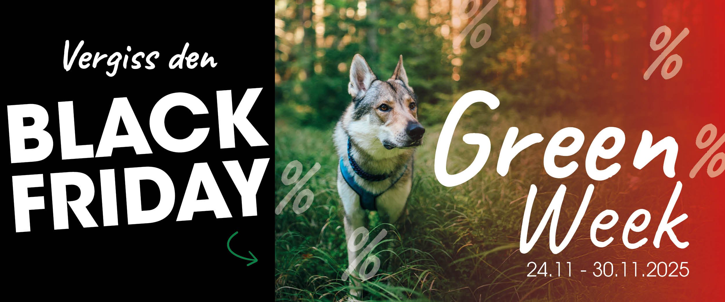 Hund, Säugetier, Haustier, Husky