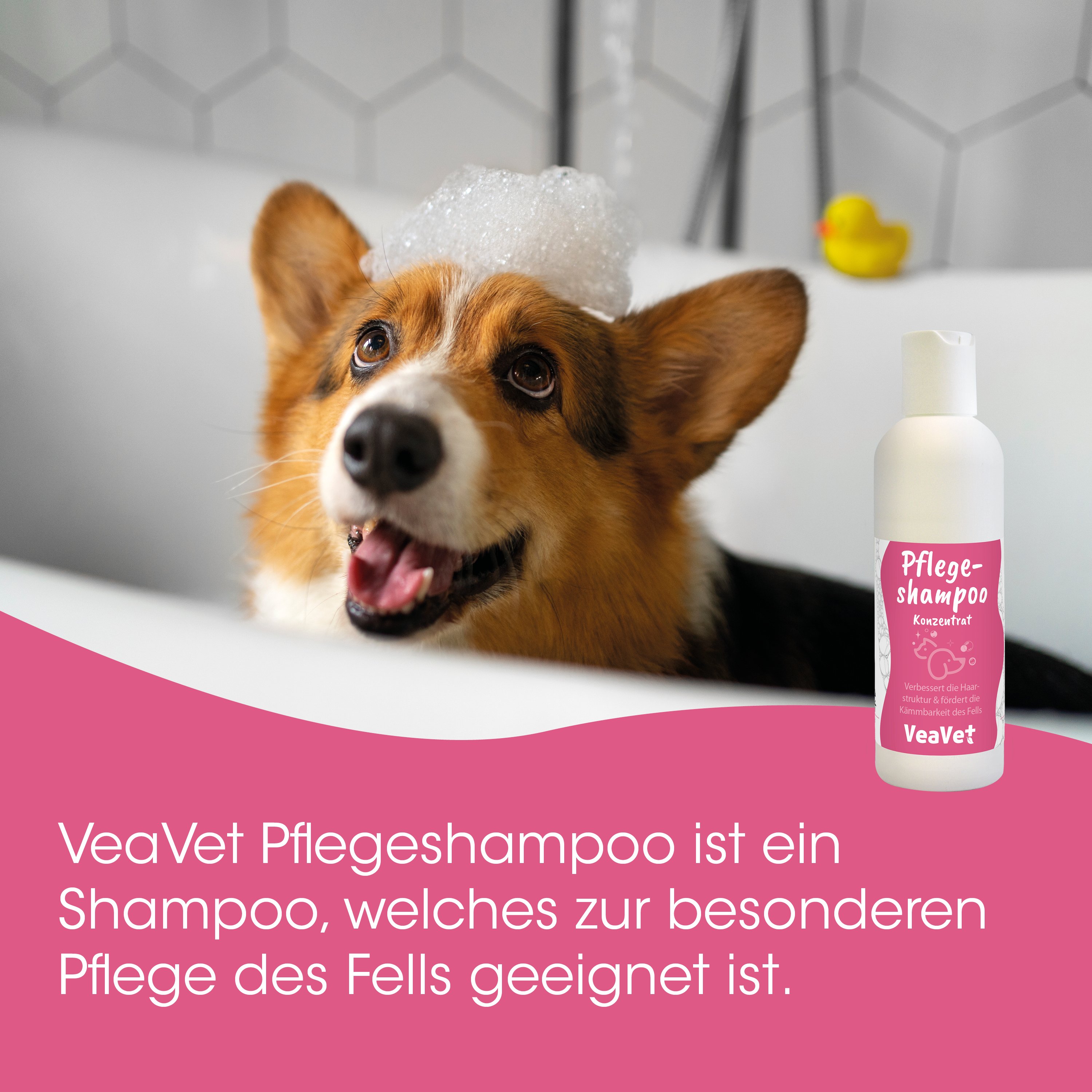 Hund, Shampoo, Hundehaarpflege, Tierpflege, Pet Shampoo