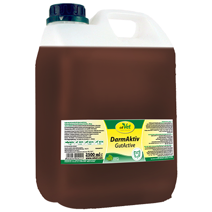 DarmAktiv Hund & Katze 2,5 L