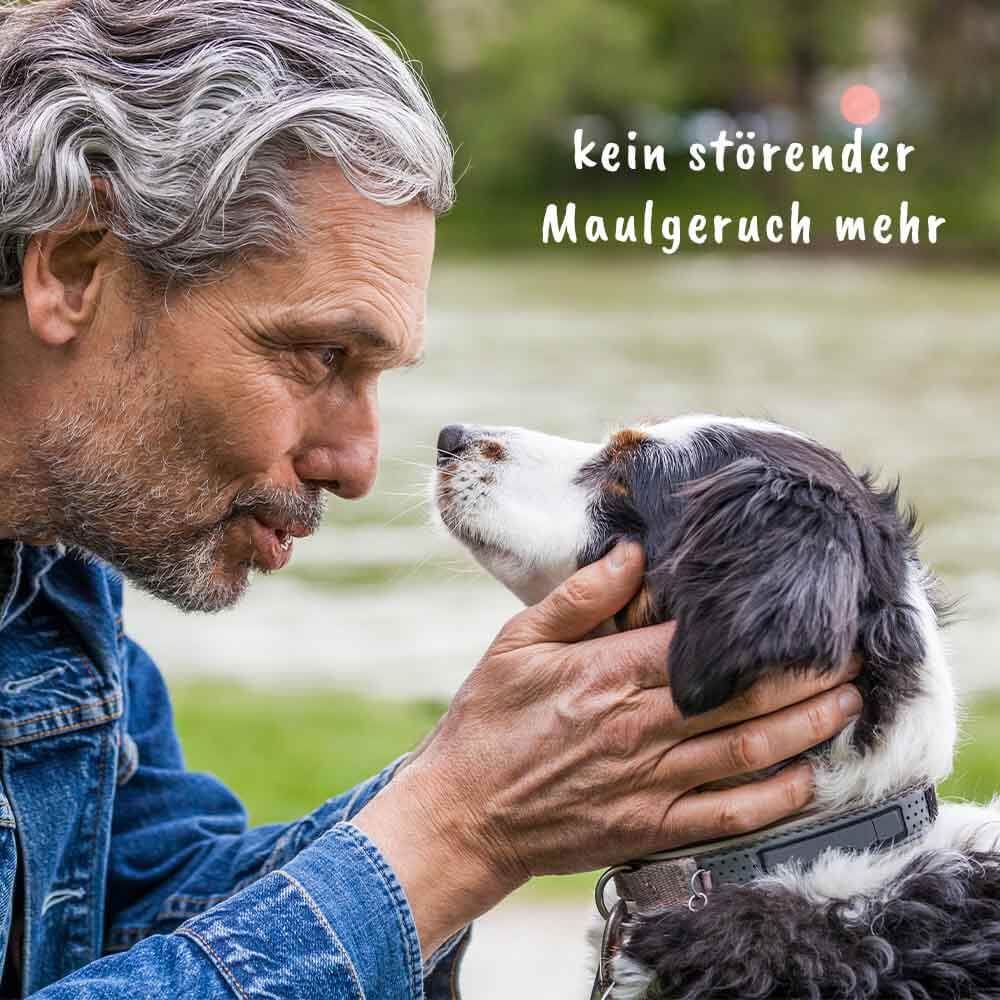 dentaVet Atemfrisch 350 g