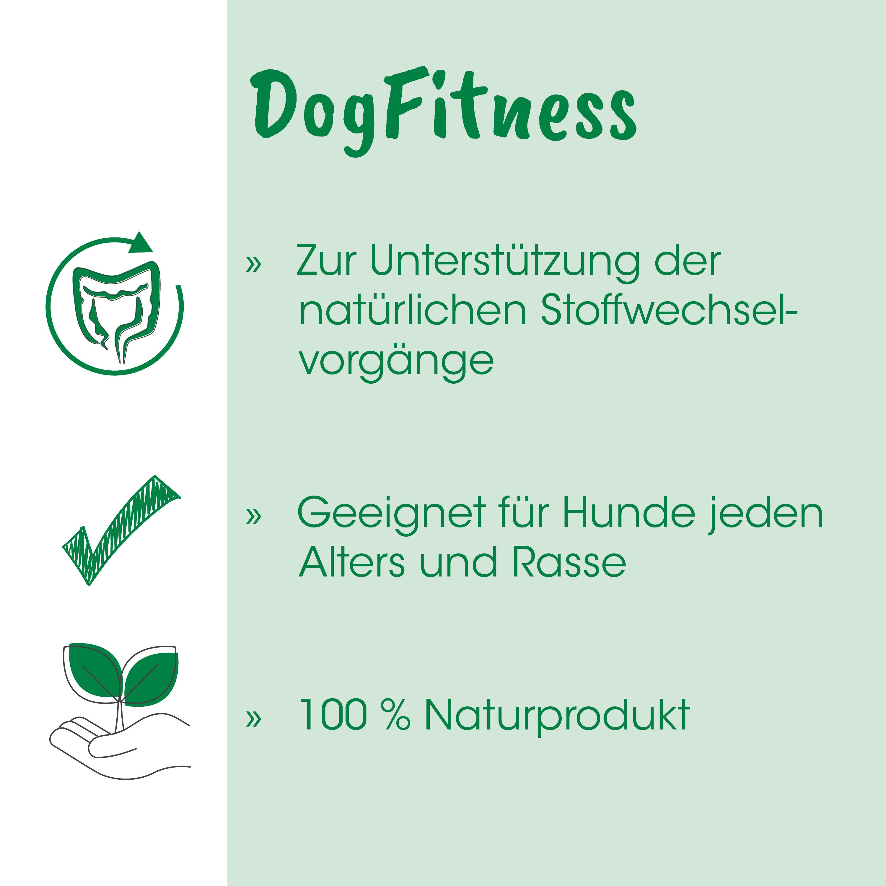 DogFitness, Naturprodukt, umweltfreundlich, Hunde, Logo