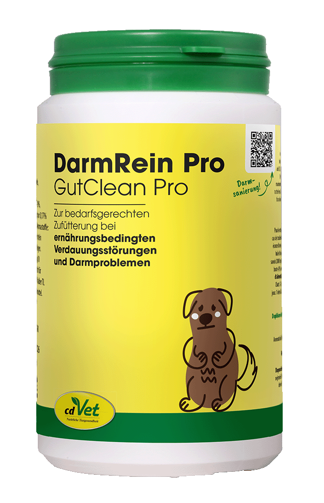 Kräuter, Pflanze, Glas, Astragalus, QR Code