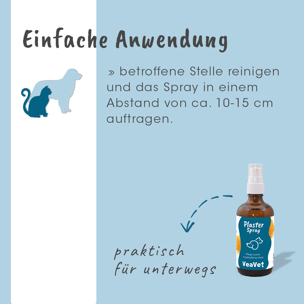 Werbung, Flasche, Bär, Säugetier, Tierwelt
