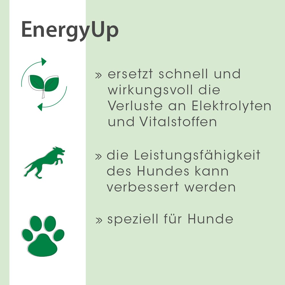EnergyUp 450 g