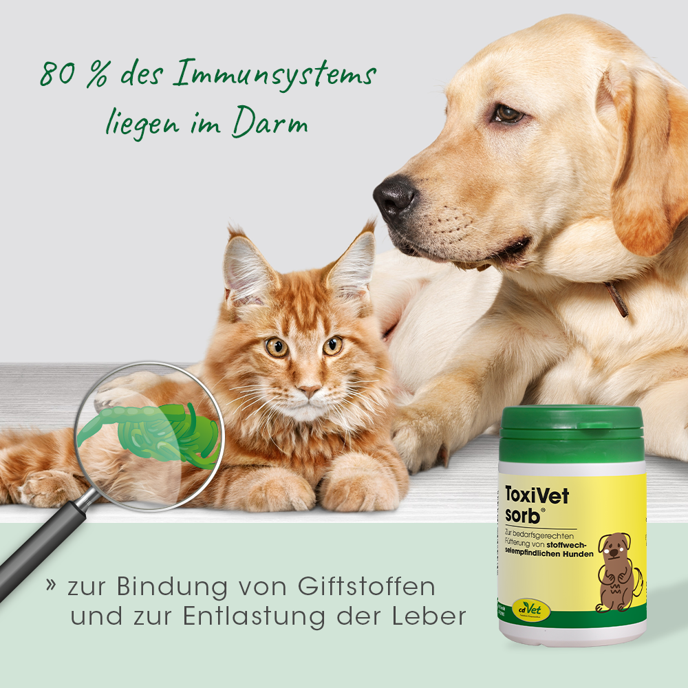 Hund, Katze, Tierarzt, Tiermedizin, Sorbent