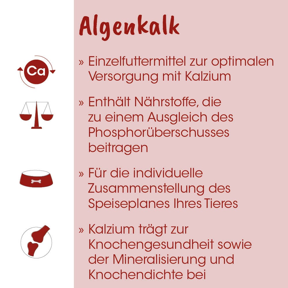 Calcium, Hundeernährung, Hunde-Napf, Knochen-Symbol, Nährstoffe