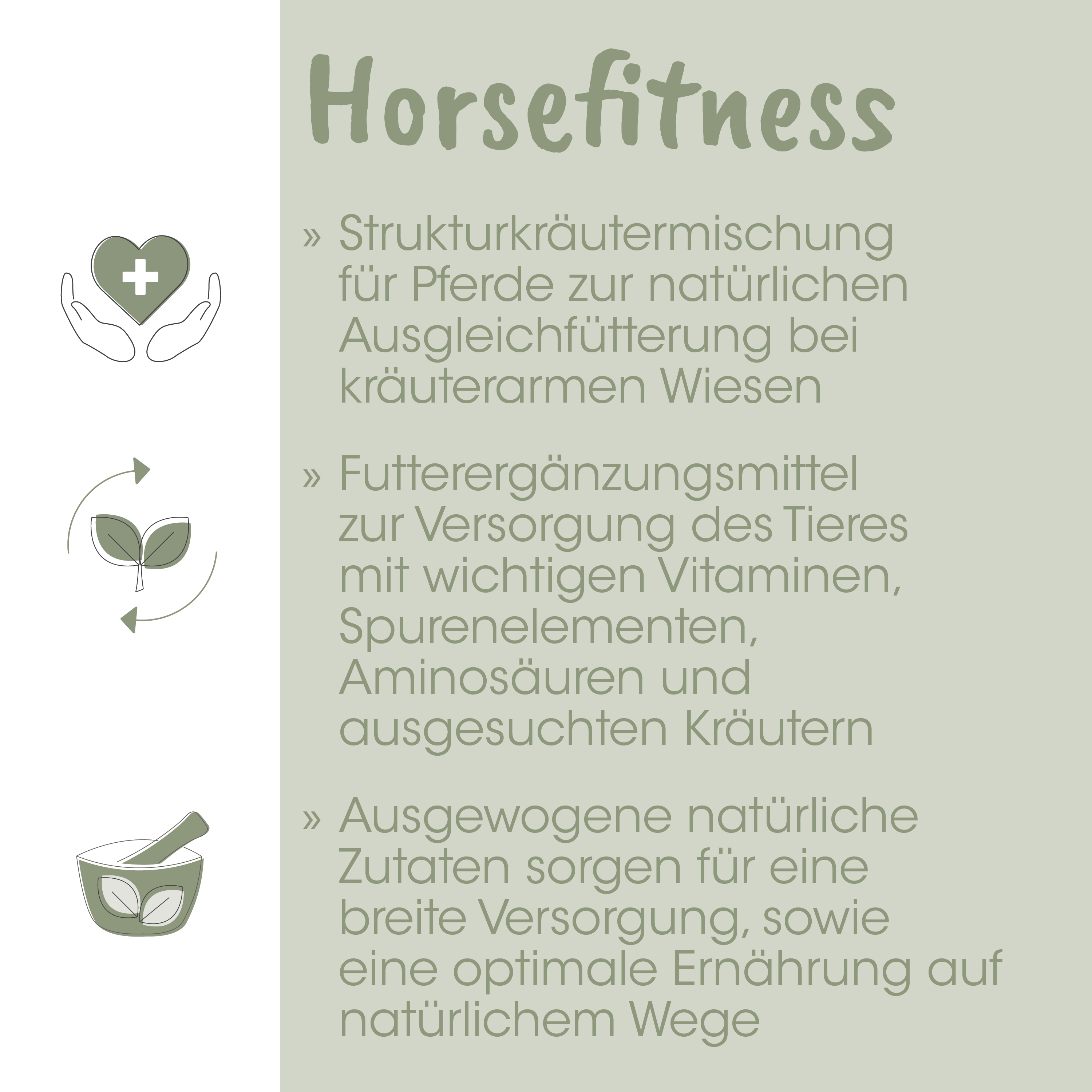 Horsefitness, Strukturkräuter, Futter, Kreuz, Kräuterarme Wiesen
