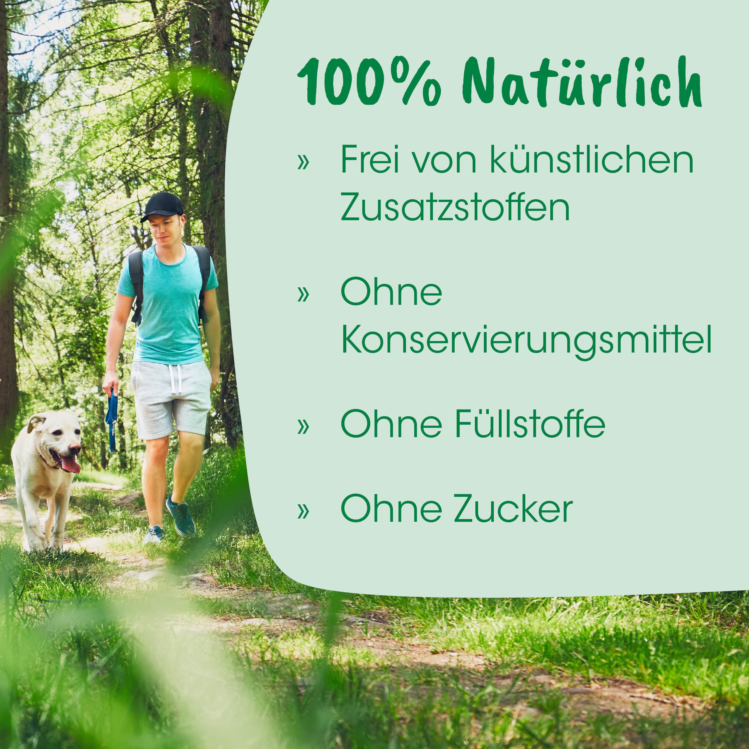 Mann, Rucksack, grünes Shirt, Shorts, Hund