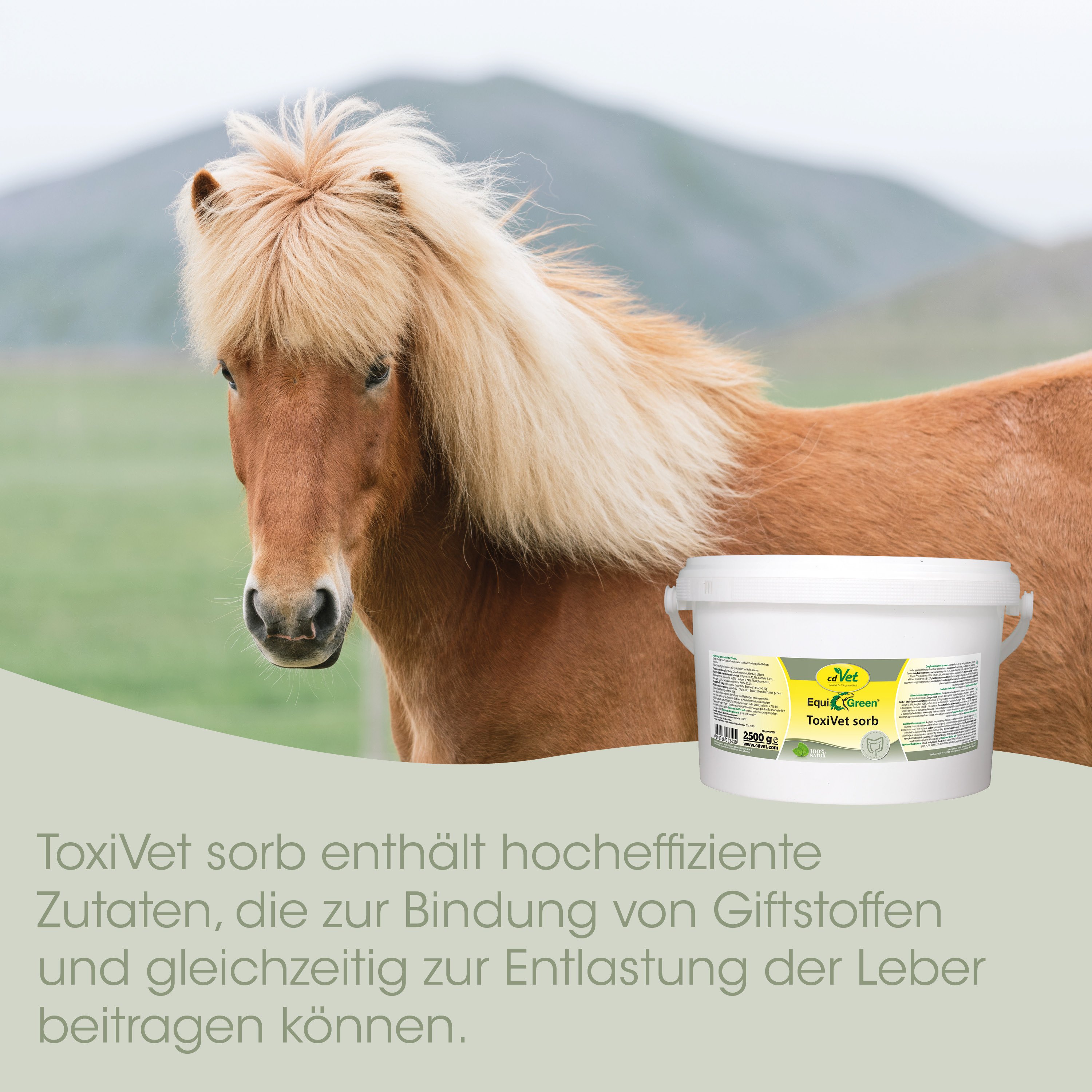 Pferd, Ponies, Fell, Fellfarbe Braun, Toxivet Sorb