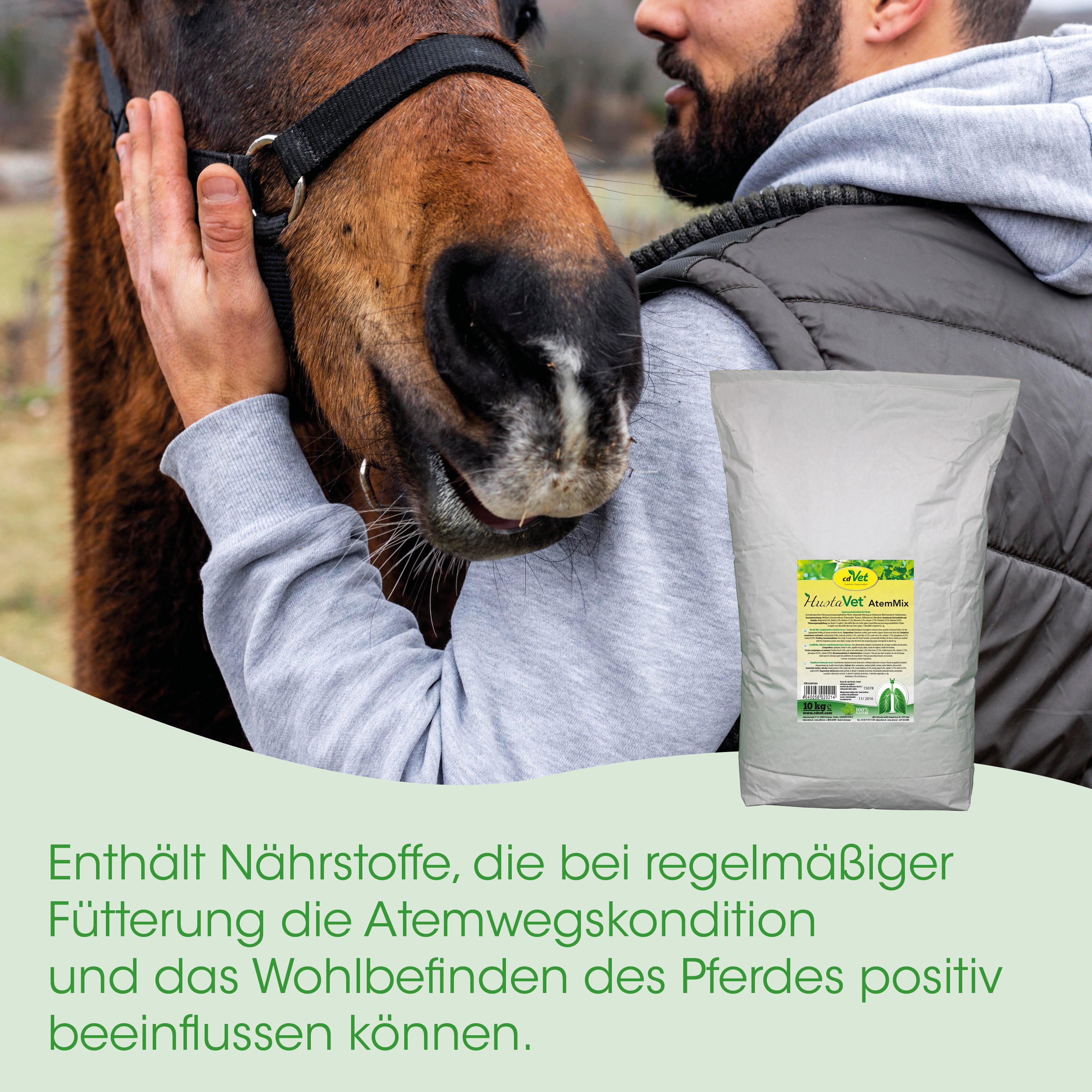 Pferd, Halter, Nährstoff, Futter, Fütterung
