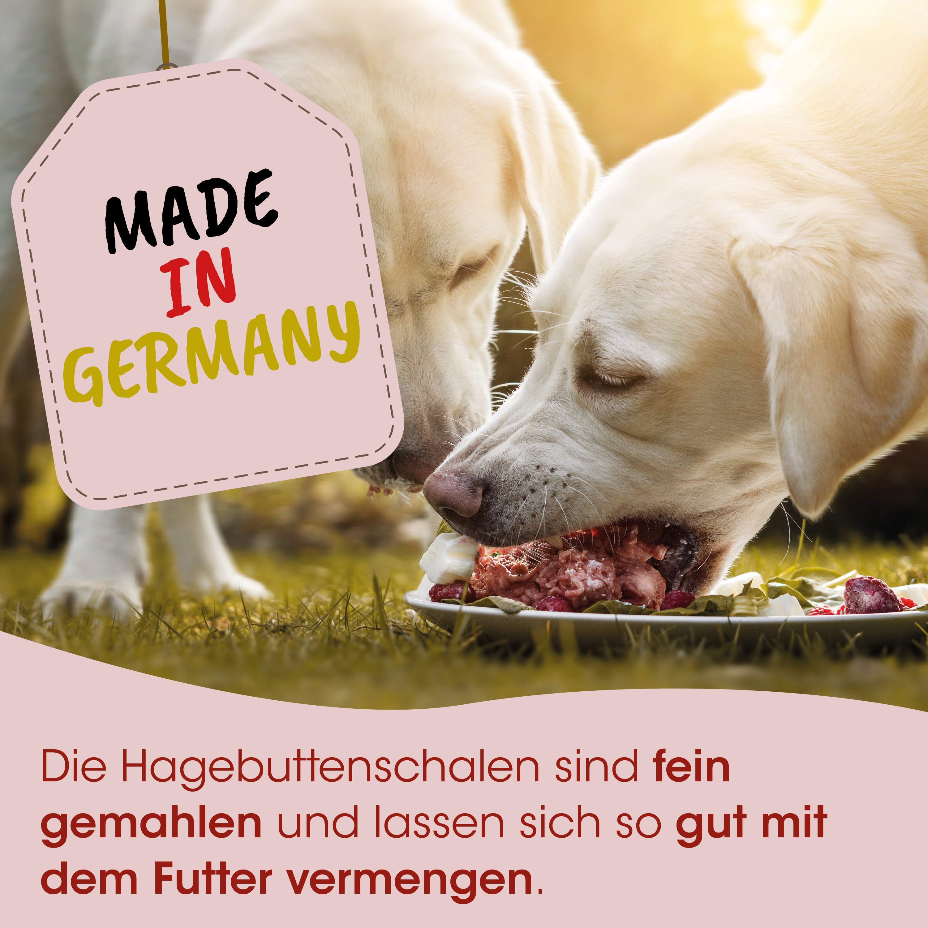 Hundefutter, Knochenmehl, Nassfutter, Getreidefrei, Made in Germany