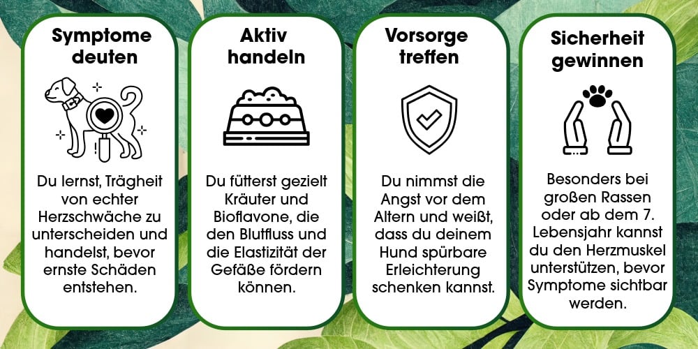 Hund, Herz, Blutbahn, Katztecken, Warnung