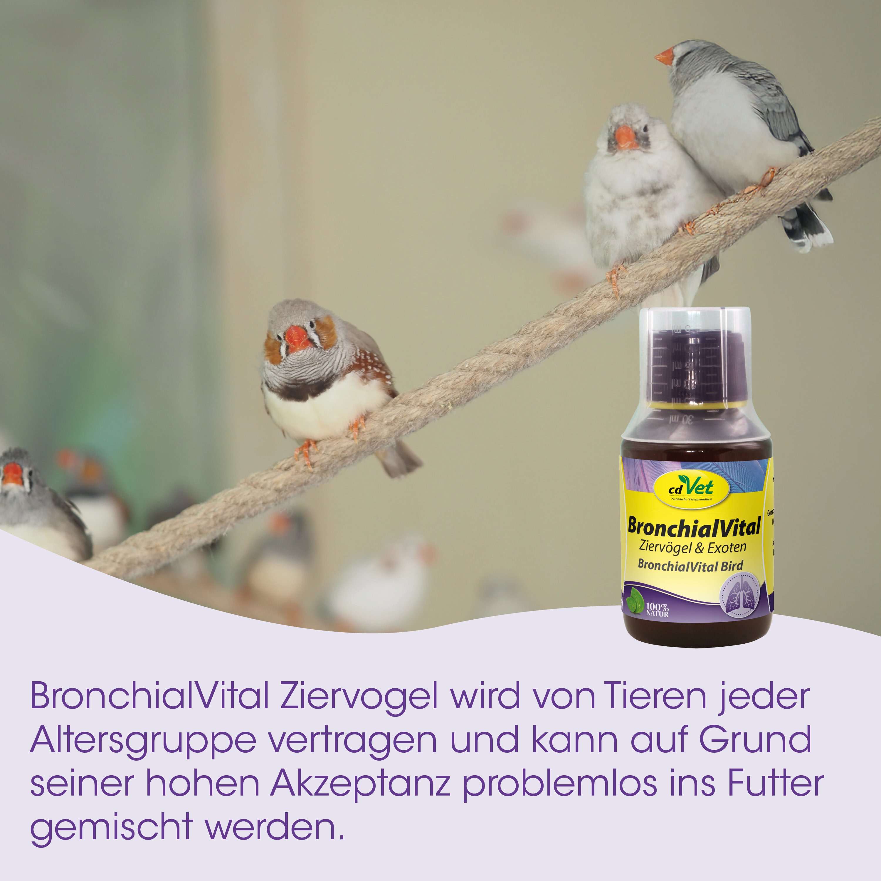 ZierVogel Nahrung, BronchialVital, Tierarzt Produkt, Vogel Nahrung, Brustpump?