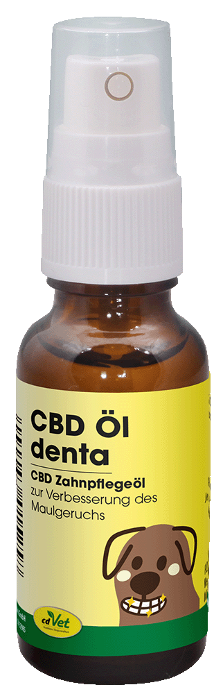 CBD Öl denta