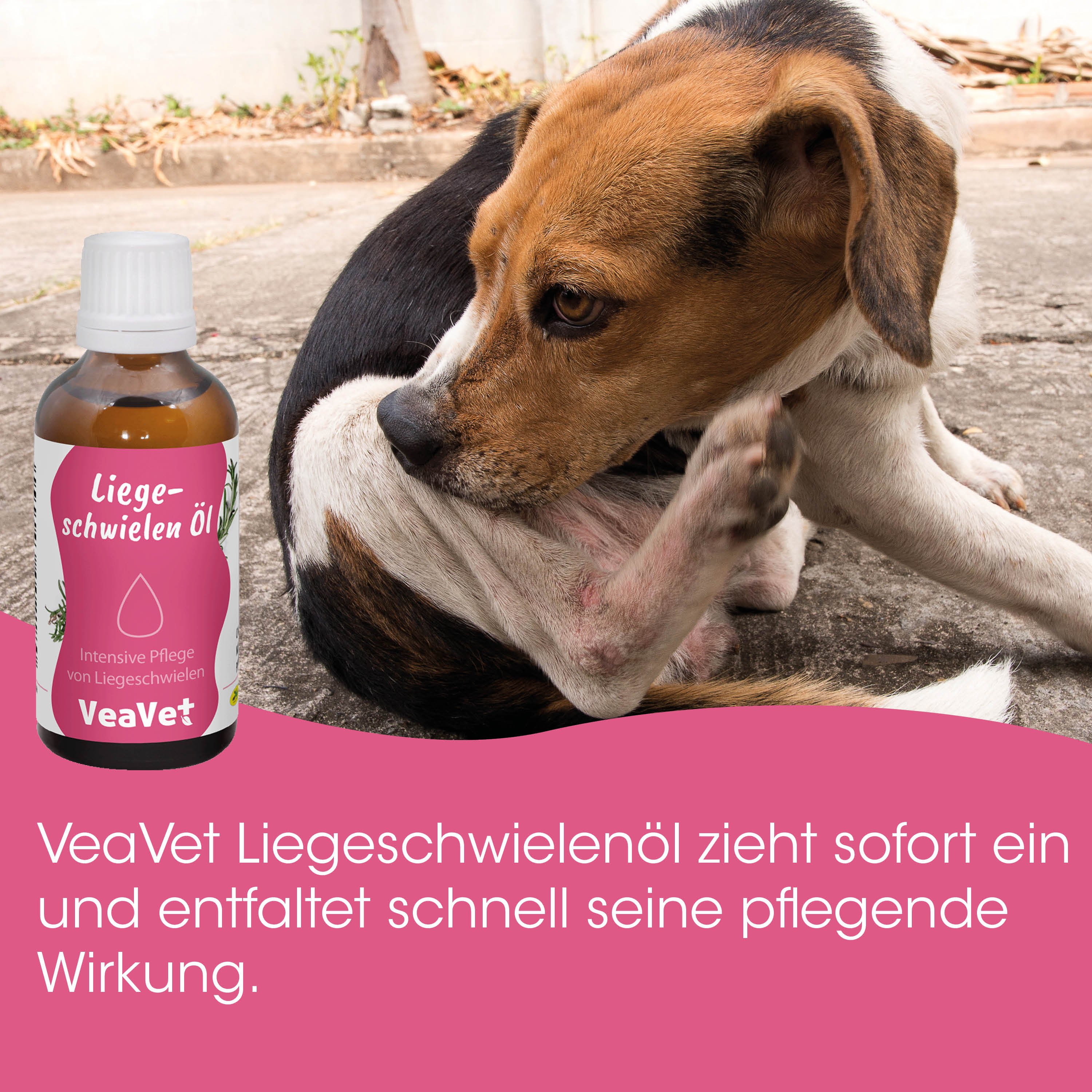 Hund, Pflegeöl, Hundeband, Tiergesundheit, Pflegeprodukt