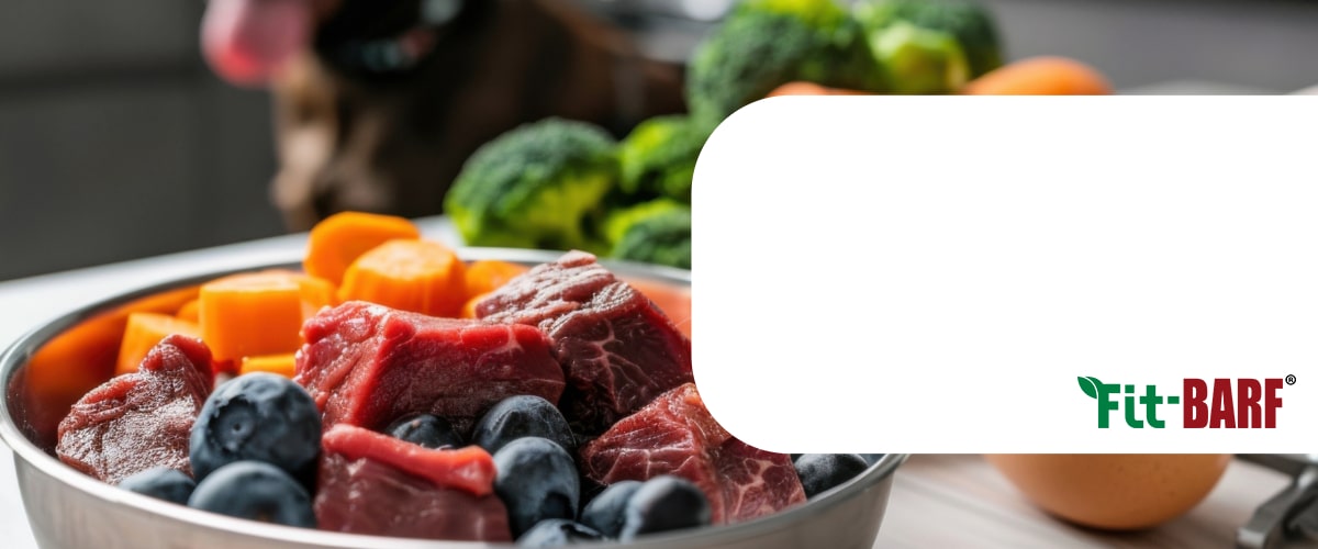 Beere, Essen, Obst, Pflanze, Produzieren