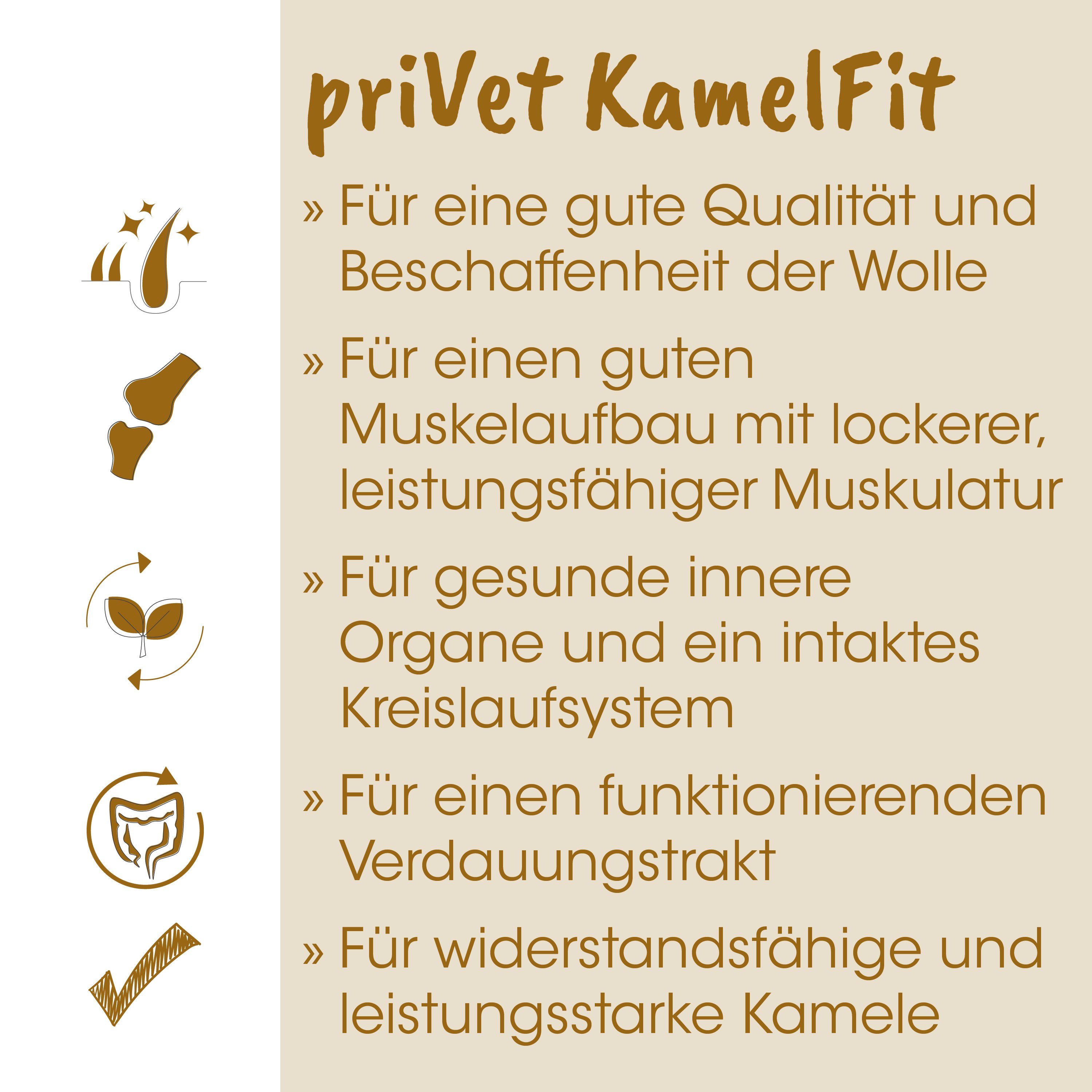 KamelFit, Kamel, Wolle, Muskelaufbau, Verdauungstrakt