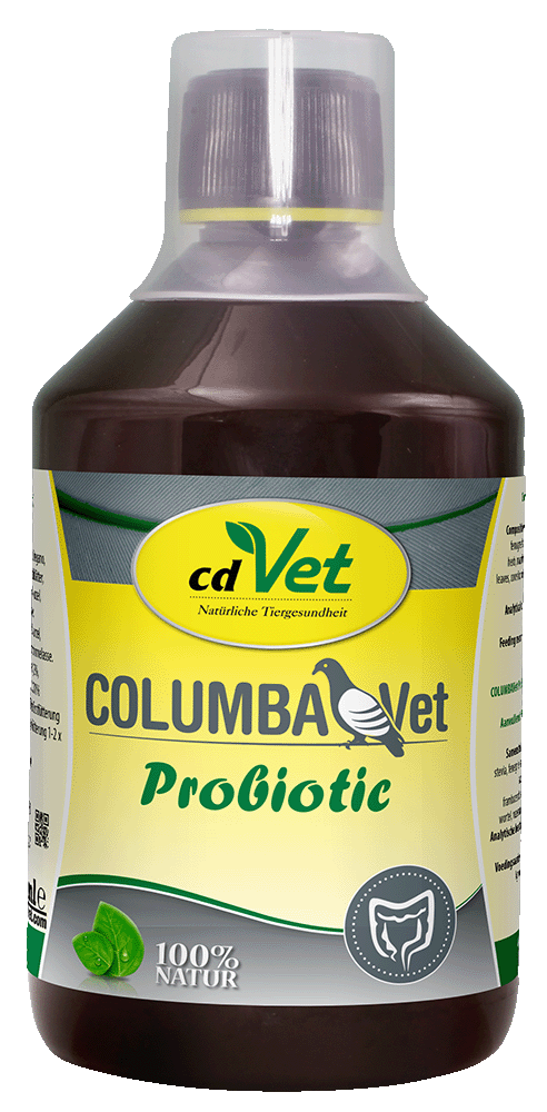 Essen, Würzen, Sirup, Tier, Vogel