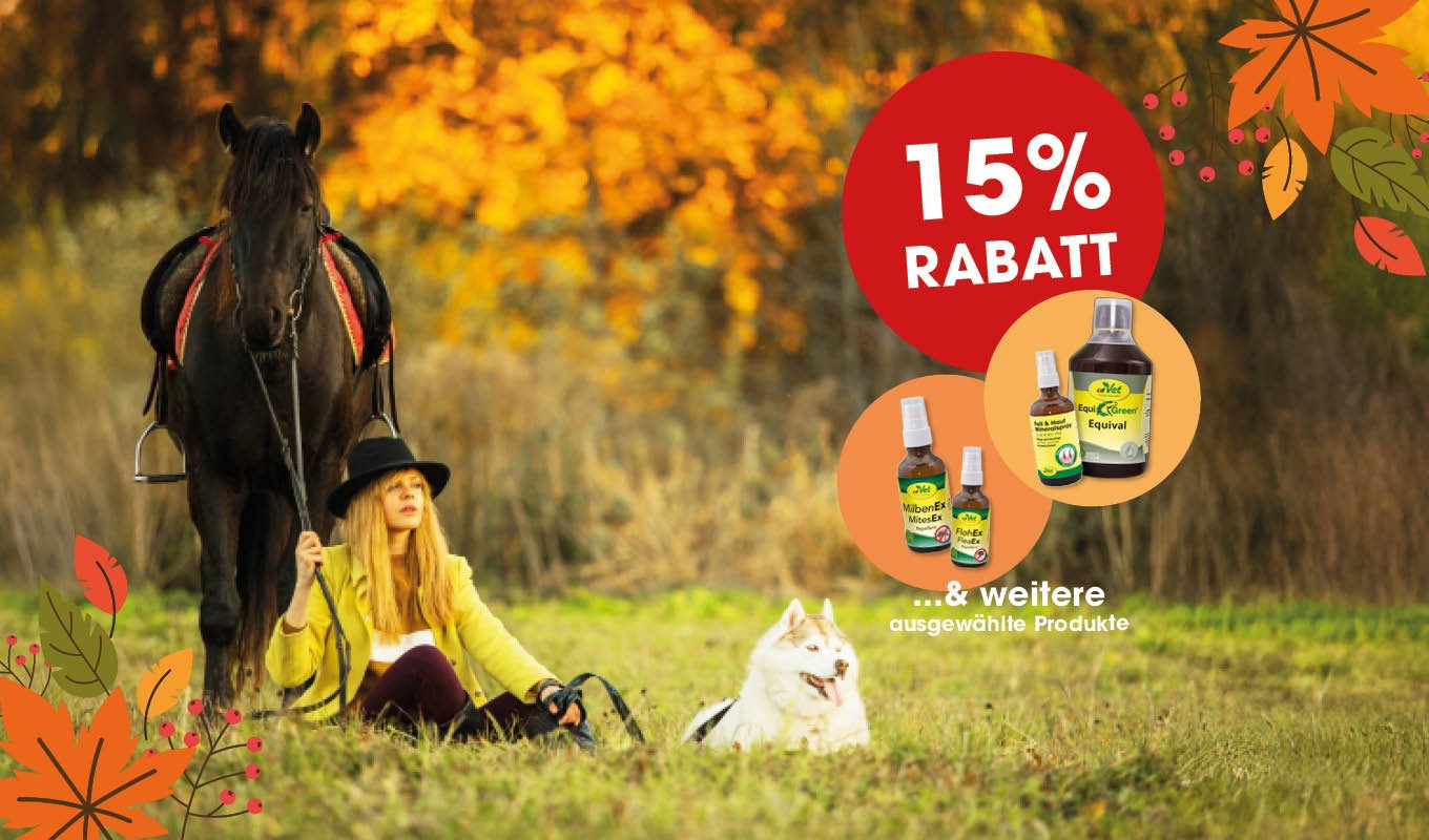 pferd, sattel, herbst, rabatt, pflanzen