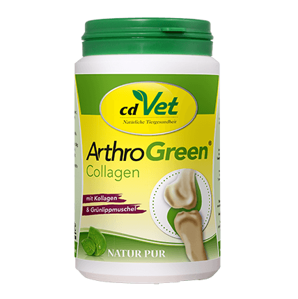 collagen, Supplement, grüner Behälter, ArthroGreen, cdVet