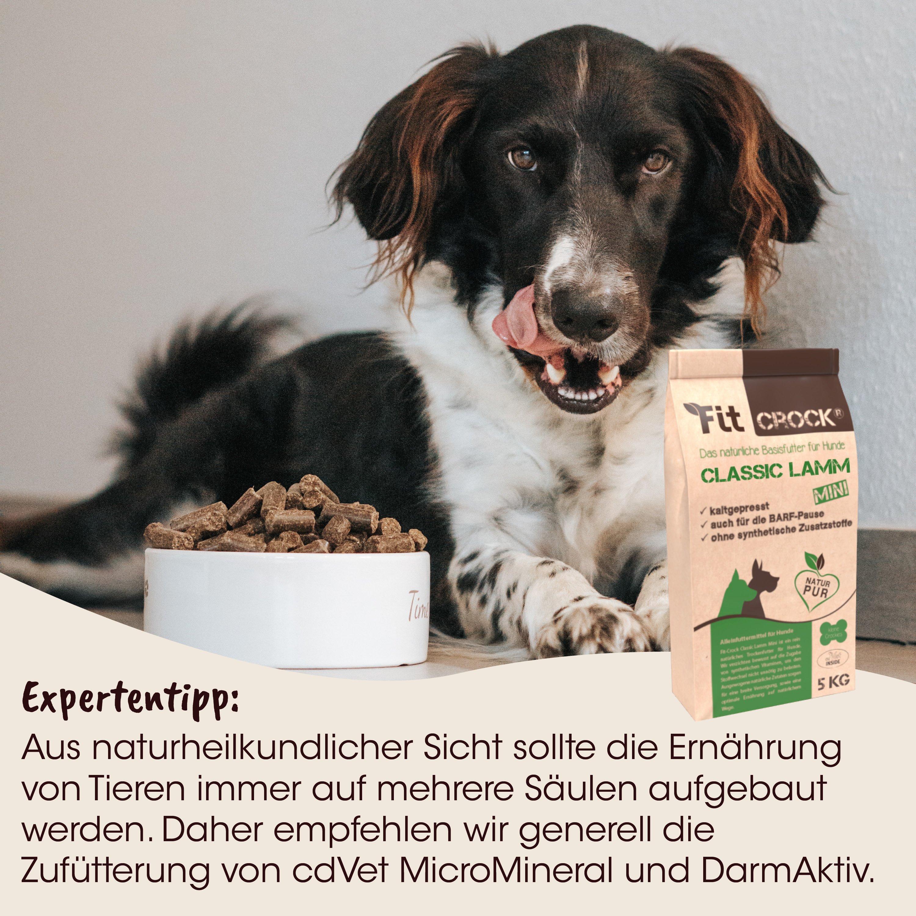 Hund, Tiernahrung, Napf, Beutel, Futter