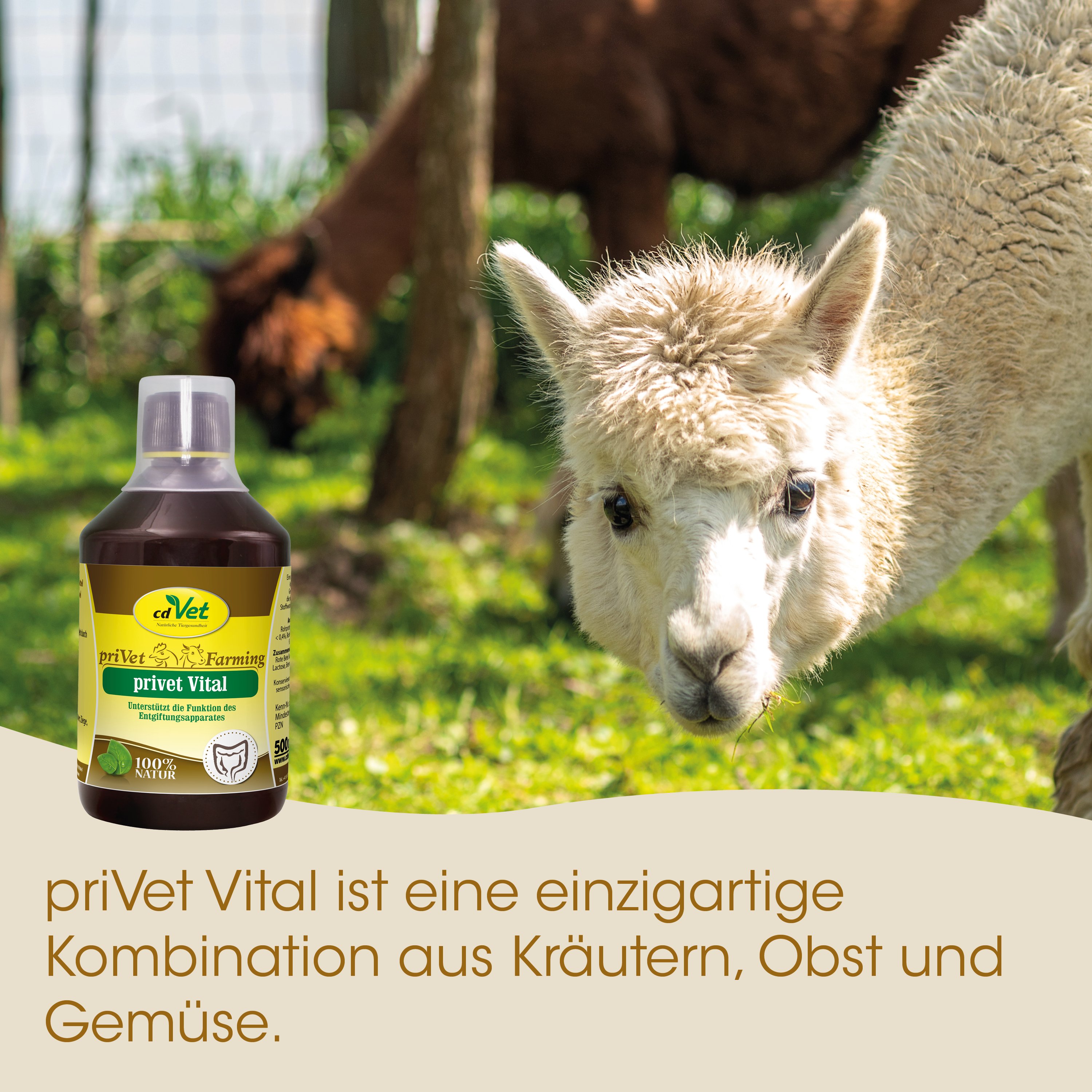 Lama, Tierfutter, Futtertherapie, Kräuter, Flasche