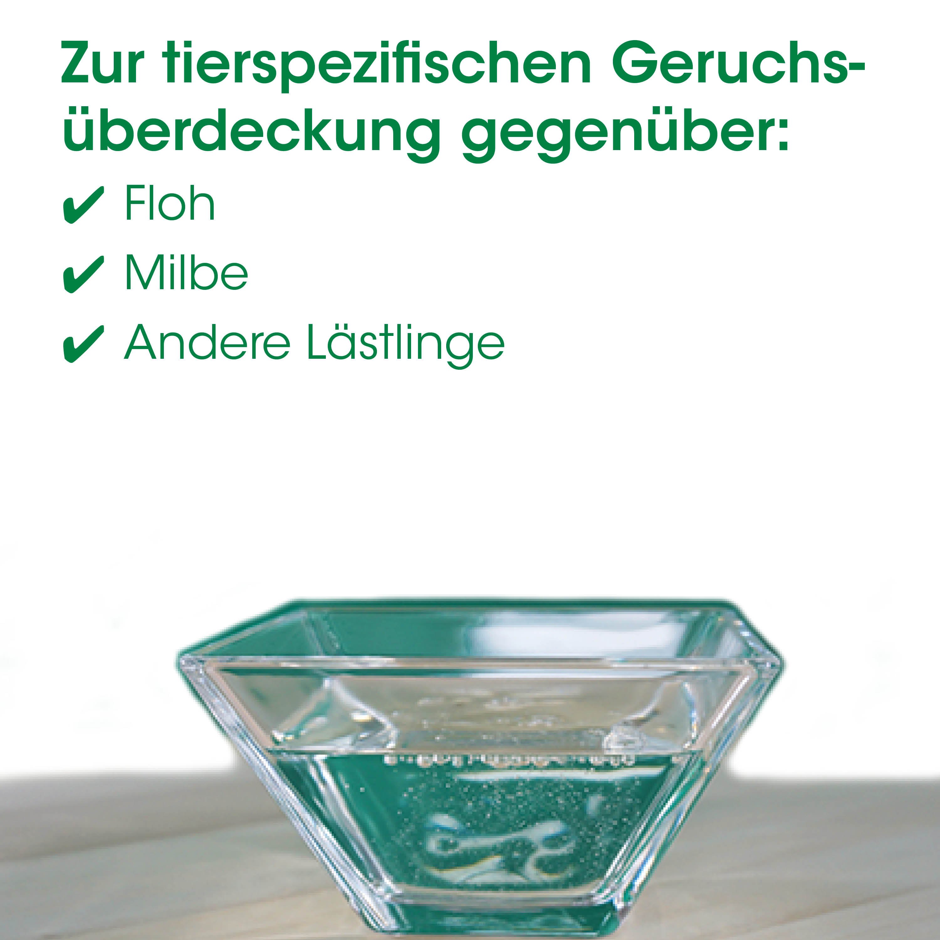 diamantförmige schale, glasbehälter, grünes glas, tischdeko, transparentes schüsselchen