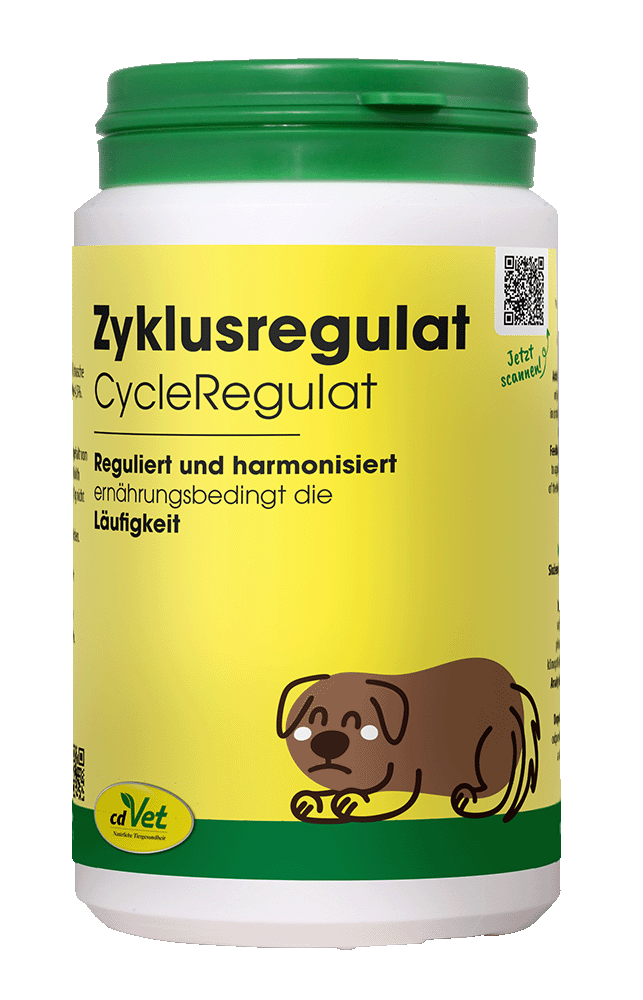 ZyklusRegulat