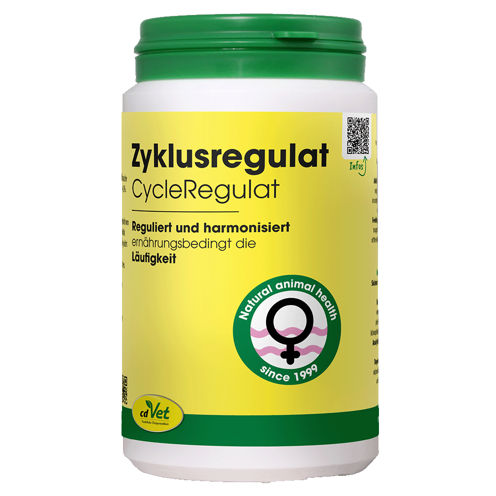 ZyklusRegulat