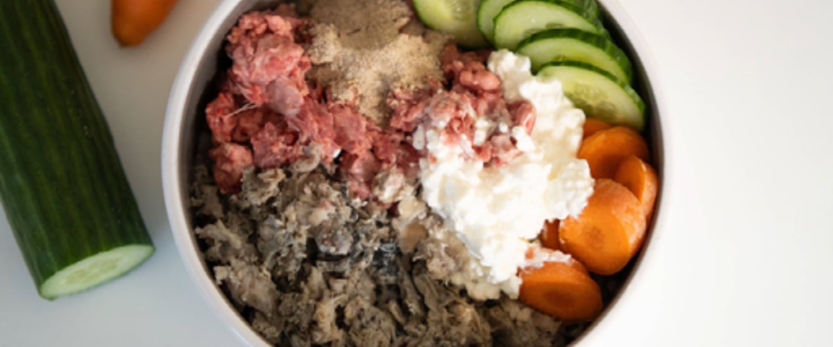 Essen, Präsentation des Essens, Rindfleisch, Fleisch