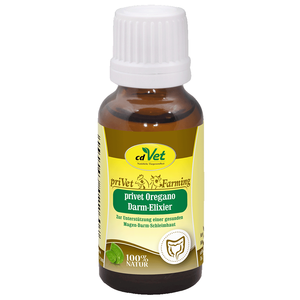 priVet Oregano Darm Elixer 20 ml