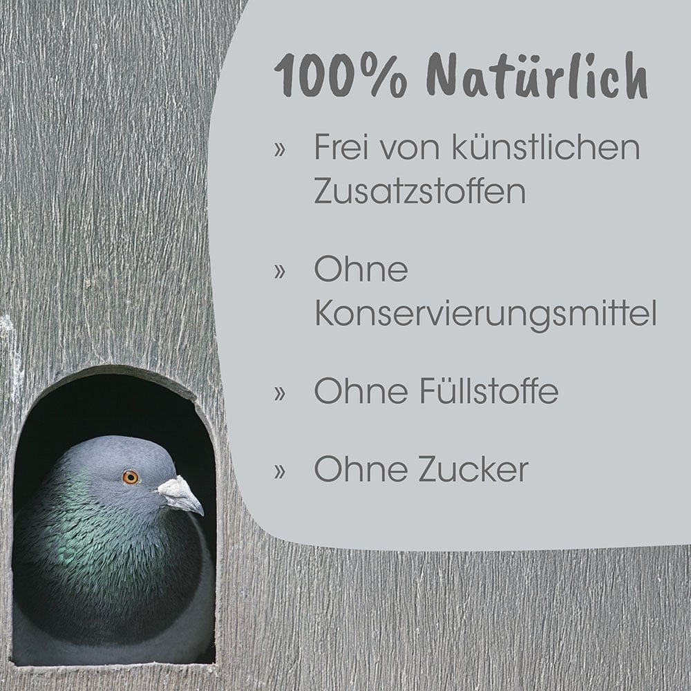 Taube, Feder, Grau, Holz, Schlaufen
