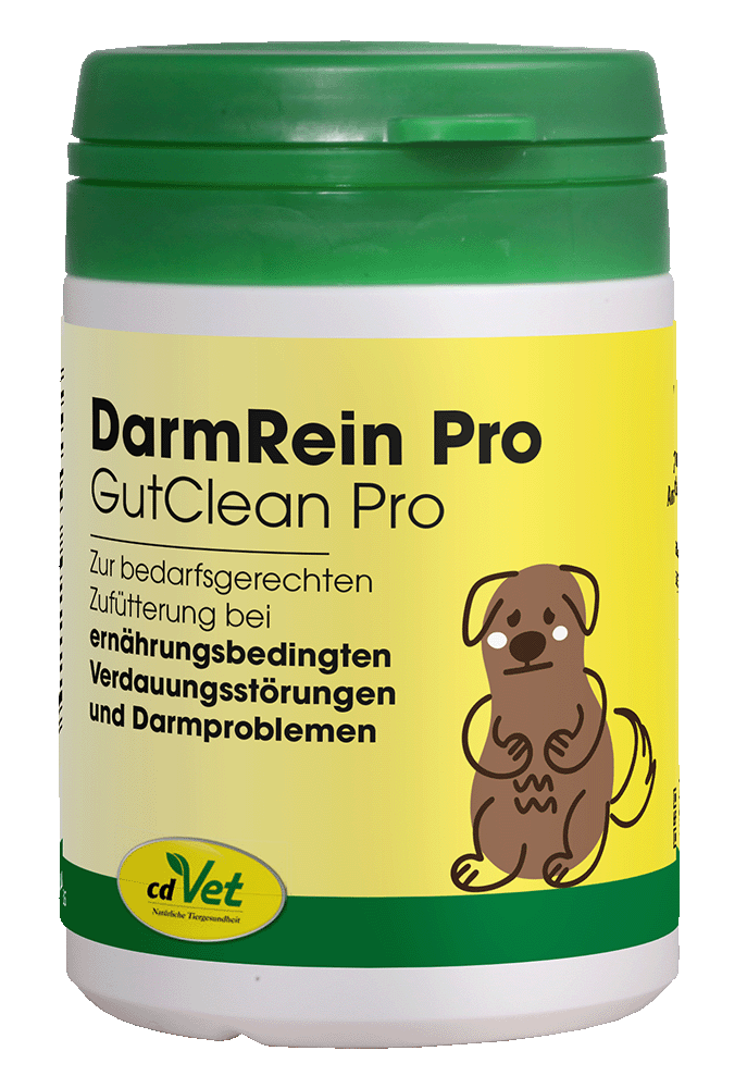 Kräuterig, Kräuter, Pflanze