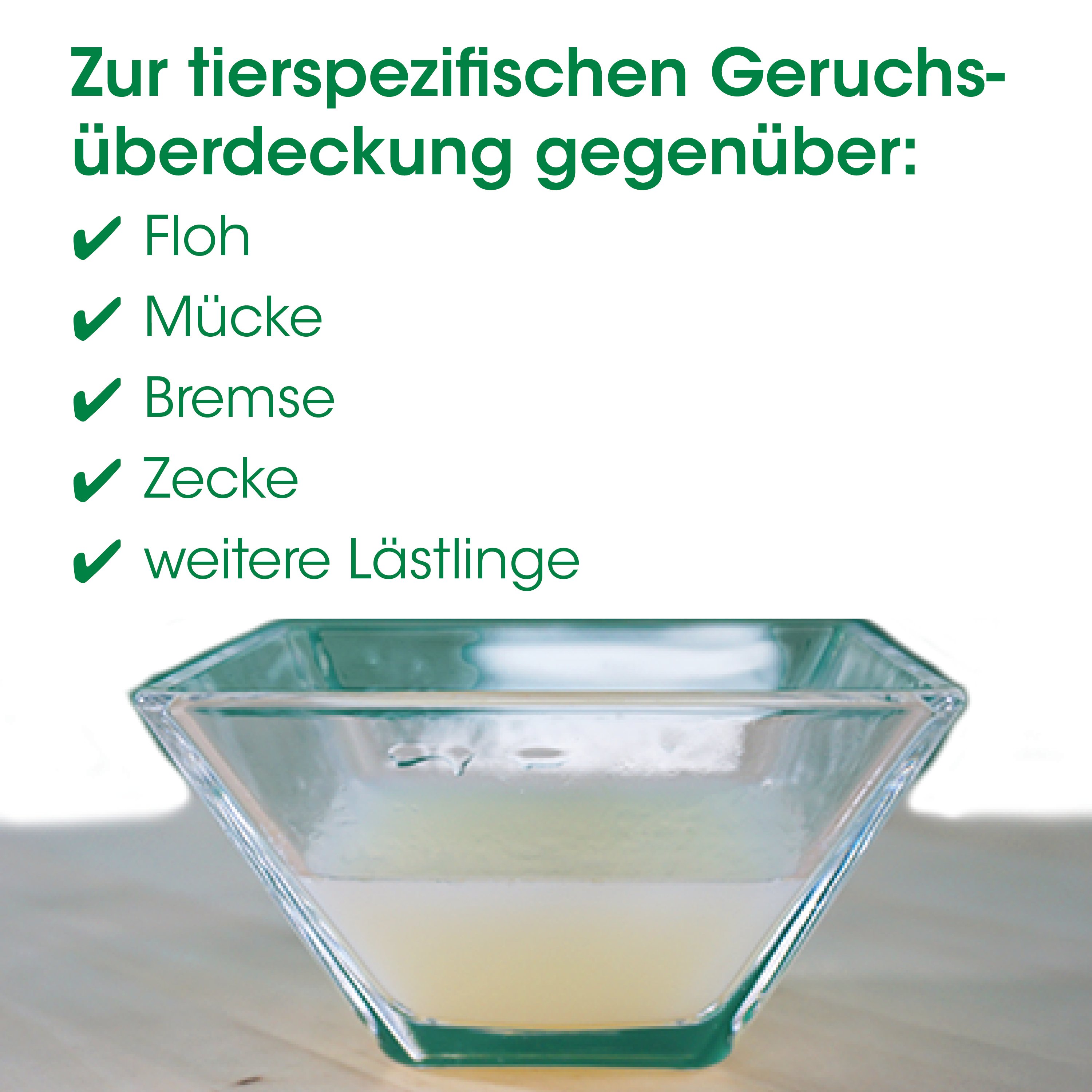 glas, schale, eierbecher, transparent, quadratisch