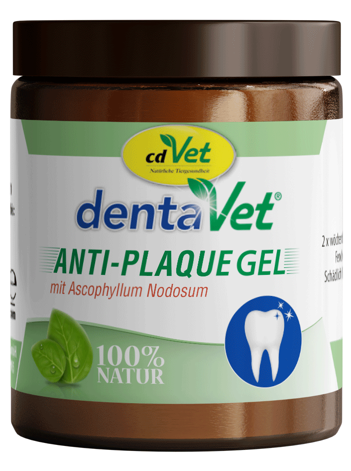 dentaVet AntiPlaque Gel