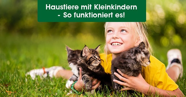 Kätzchen, Gras, Kind, Mädchen, Person