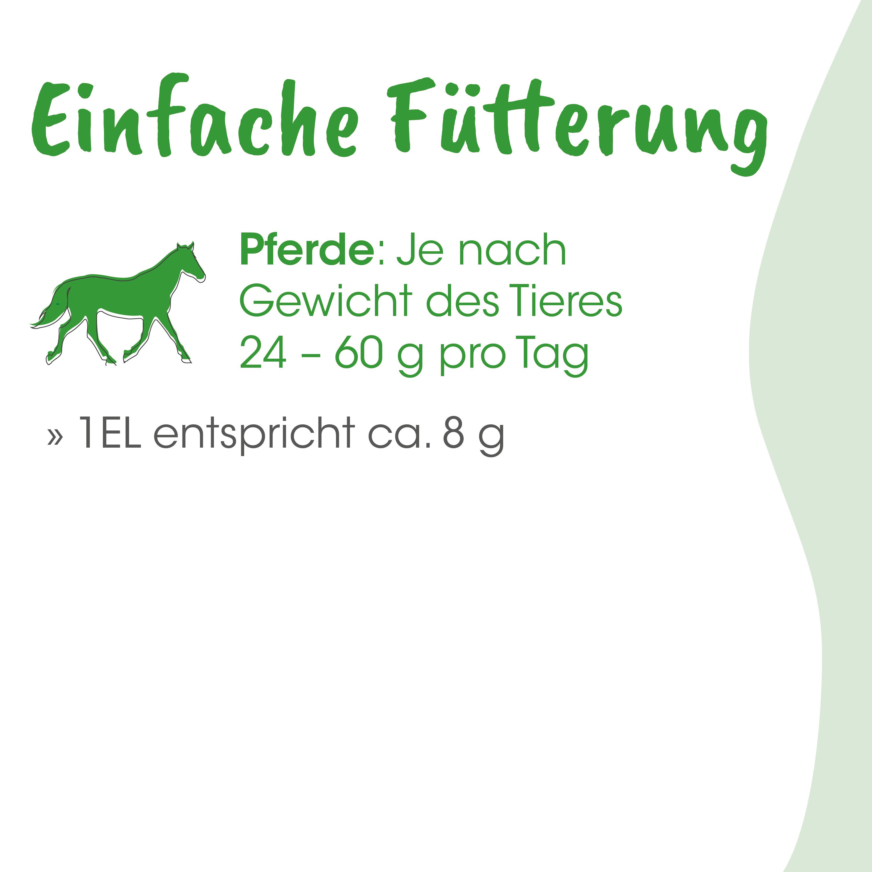 Pferd, Grün, Hintergrundtext, Logo, Illustration