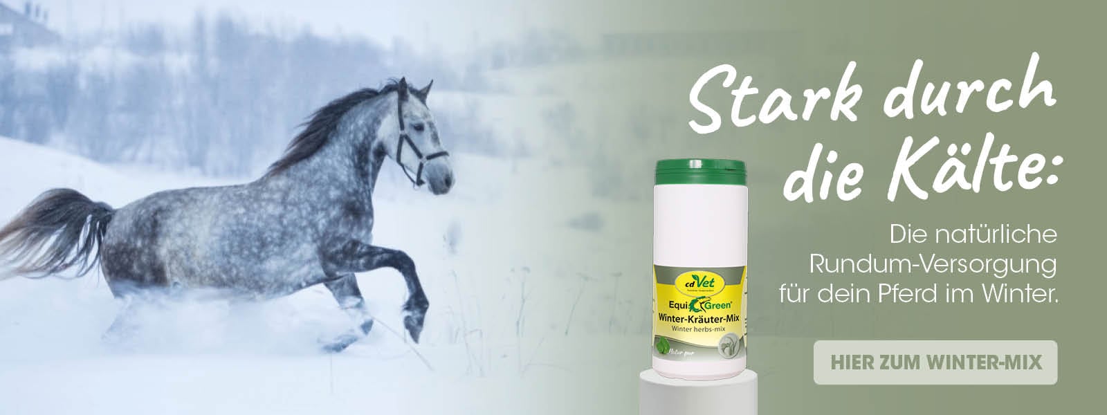 Tier, Pferd, Säugetier, Tasse, Werbung