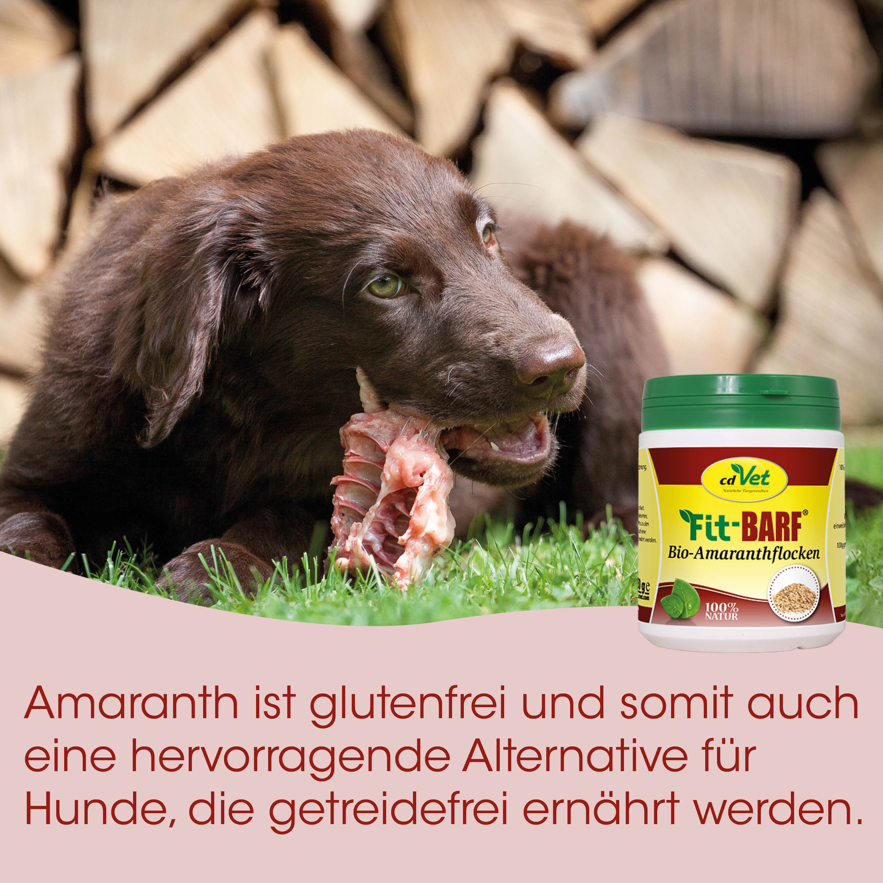 Hund, Kauknochen, Futter, Bio, Glutenfrei