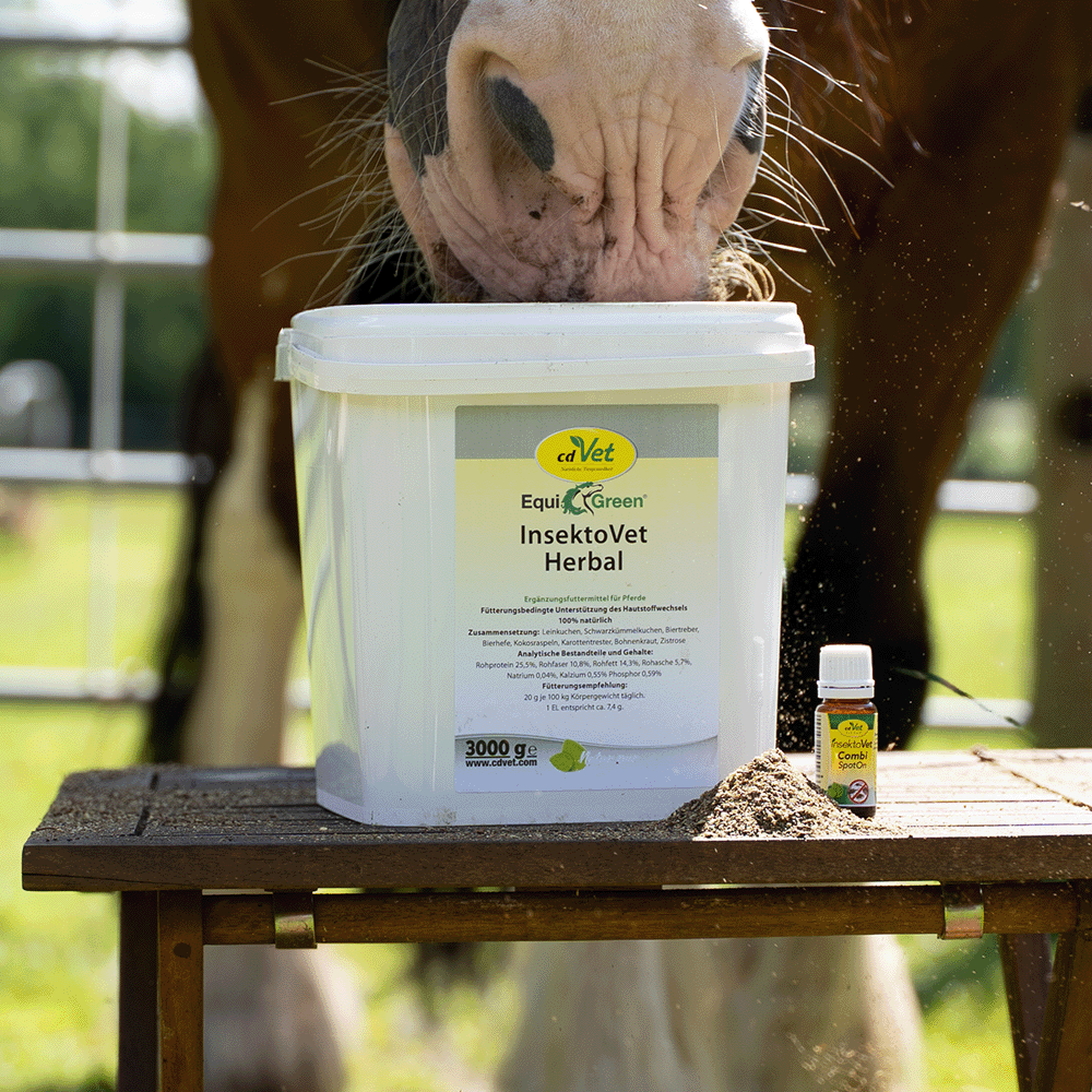 Bundle insektoVet Pferd