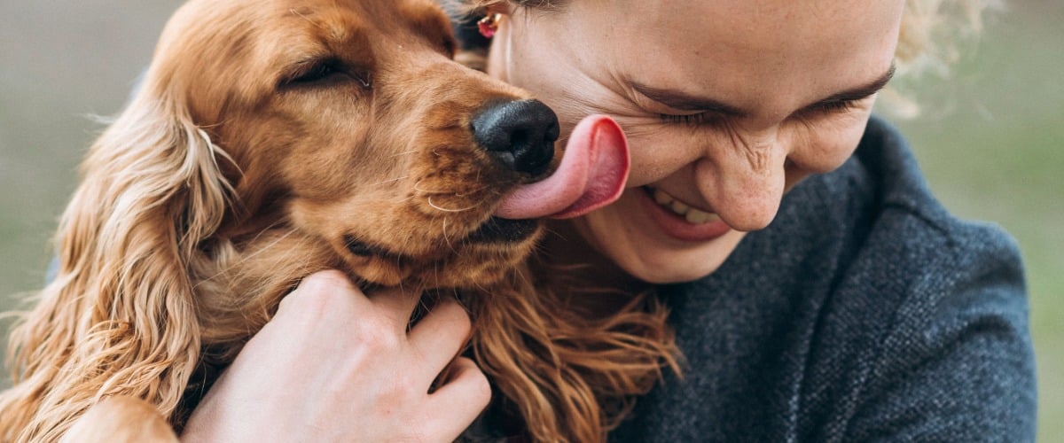 Person, Kopf, Gesicht, Hund, Säugetier