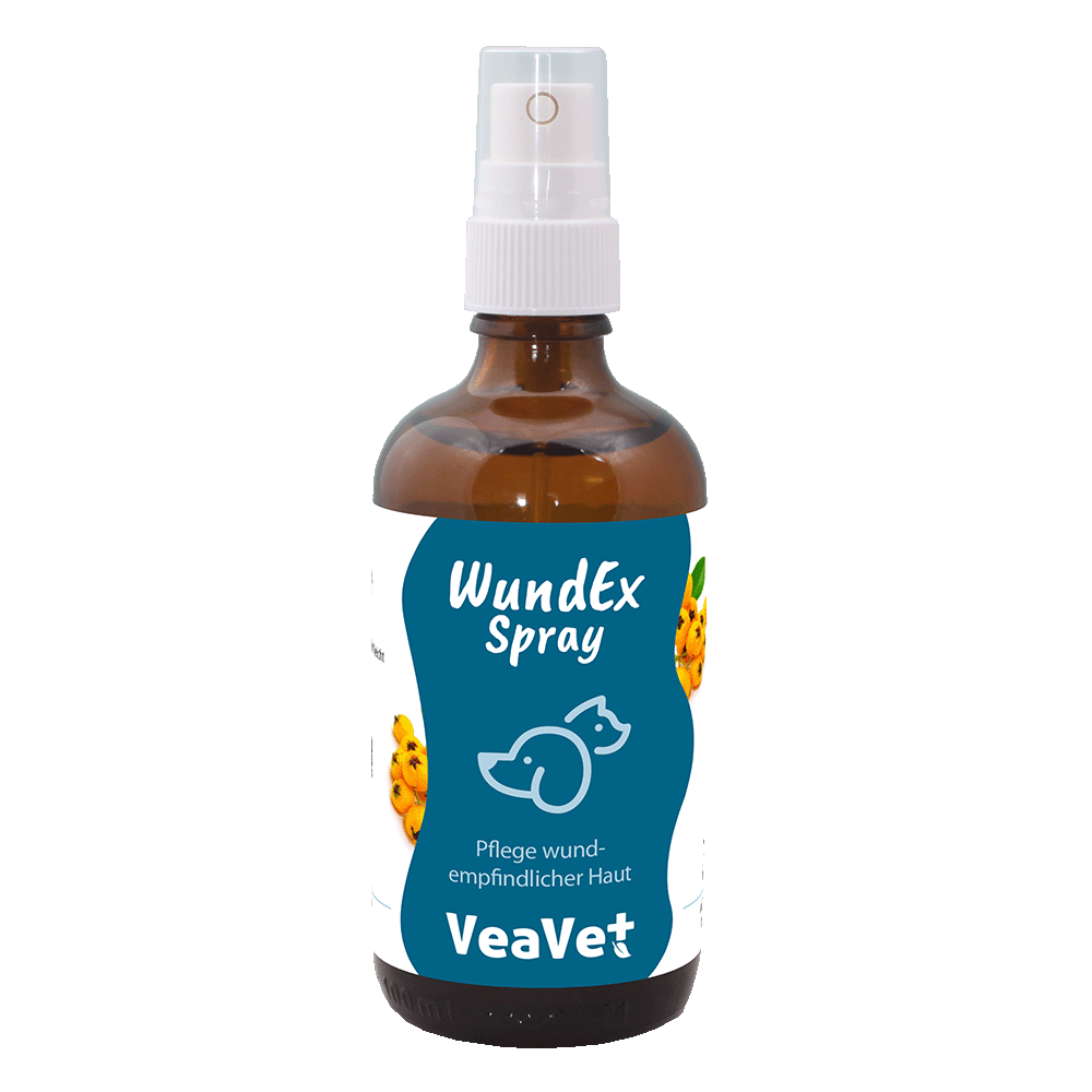 VeaVet WundEx Spray 100 ml