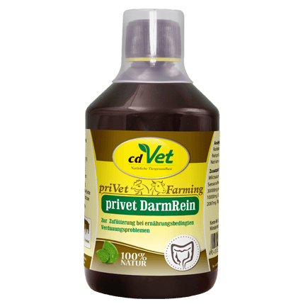 privet DarmRein 500 ml -Sorbe-