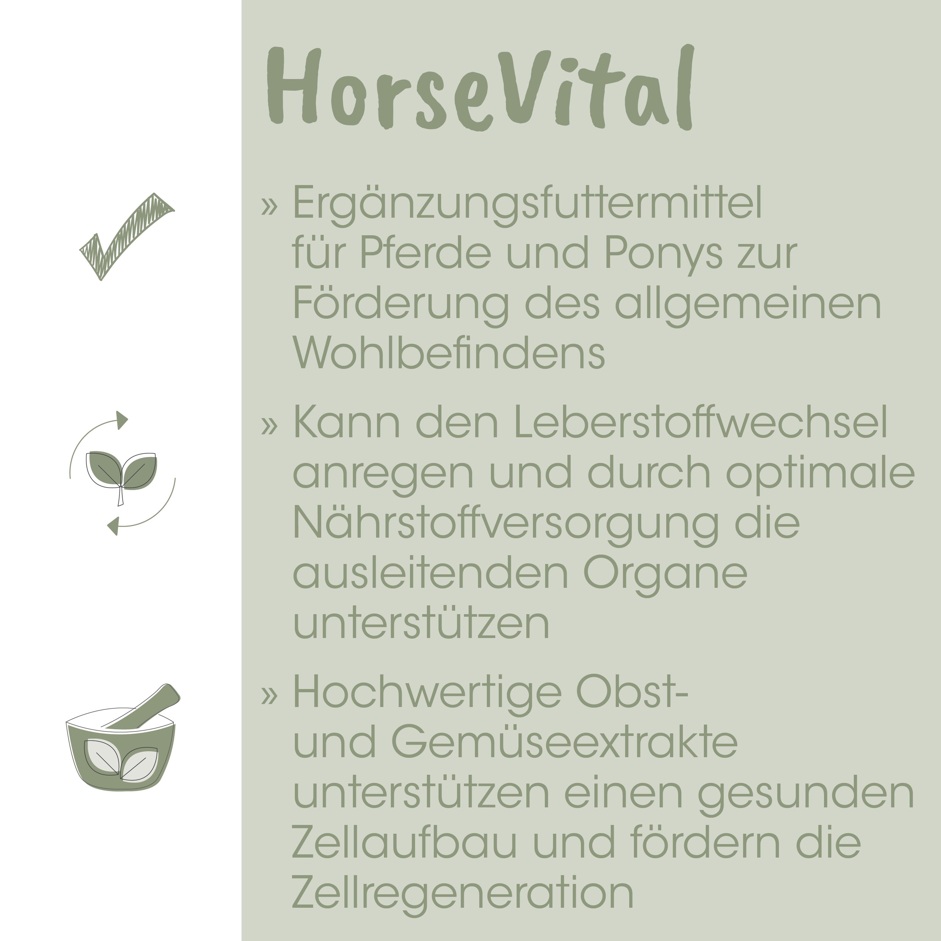 Ergänzungsfutter, Pferde, Ponys, Nährstoffe, Zellgesundheit