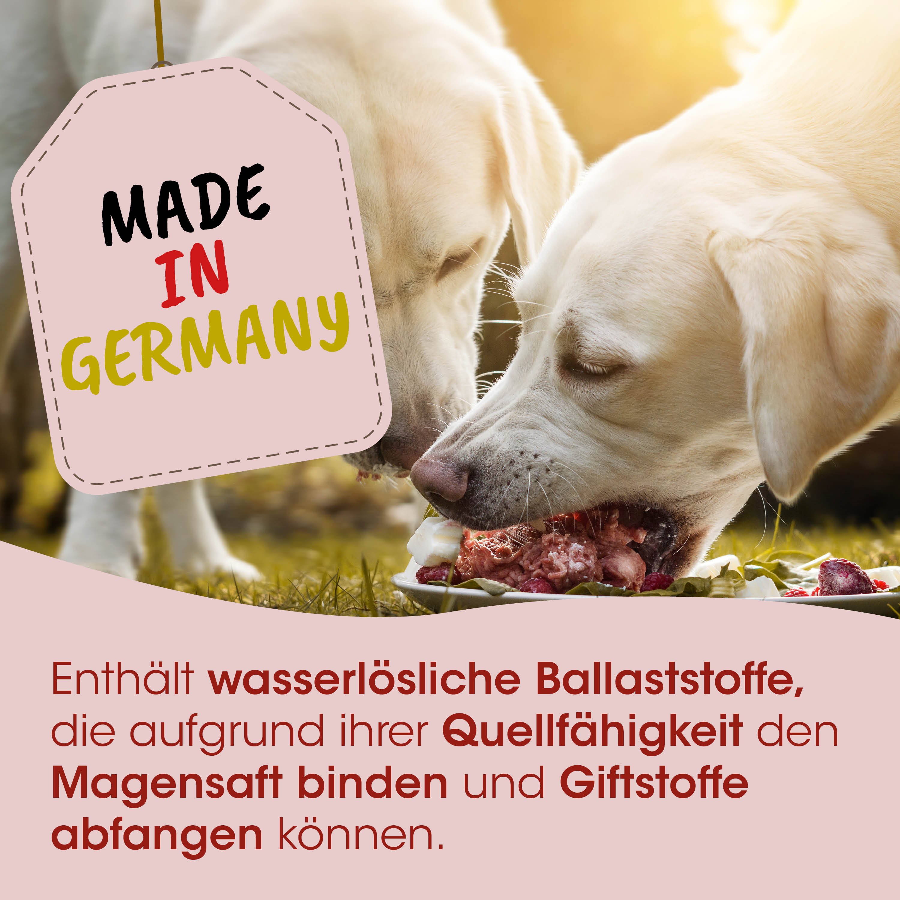 Hunde-Futter, Kausalon, Rindfleisch, Trockenfutter, Made in Germany