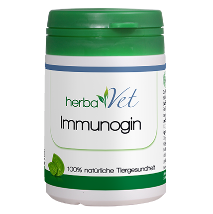 herbaVet Immunogin 35 g