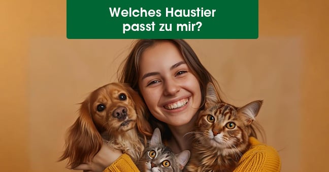 Gesicht, Glücklich, Kopf, Lächeln, Hund