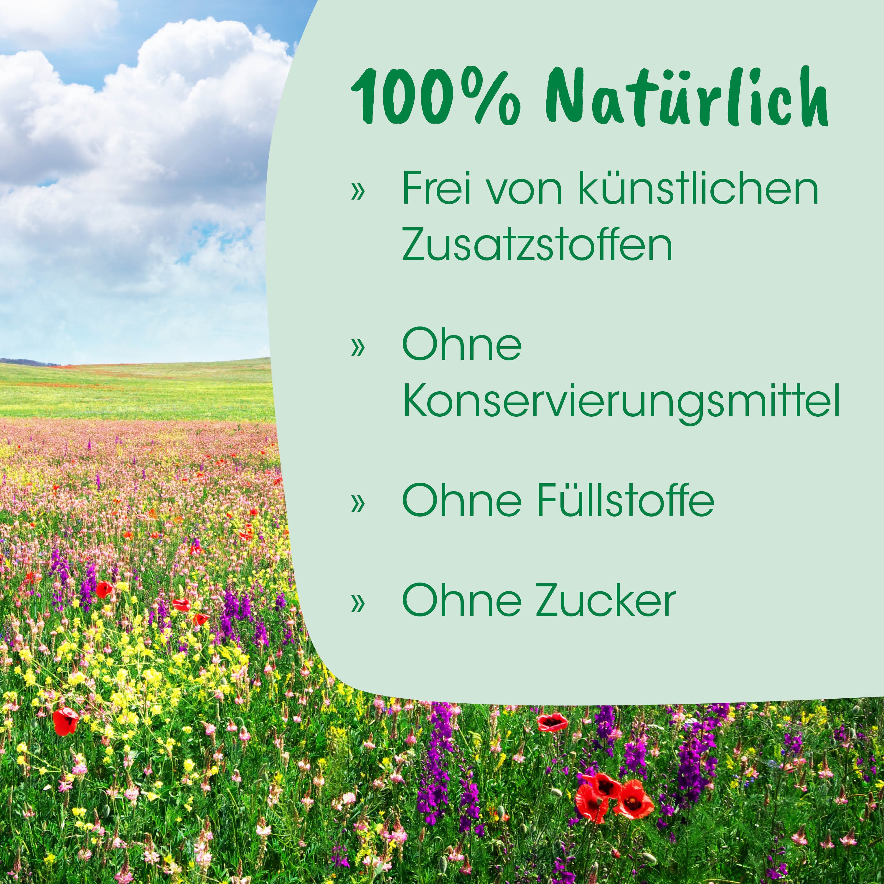 Blumenfeld, Blumenwiese, Naturmotiv, Wiesenpflanzen, Farbenfrohe Blüten