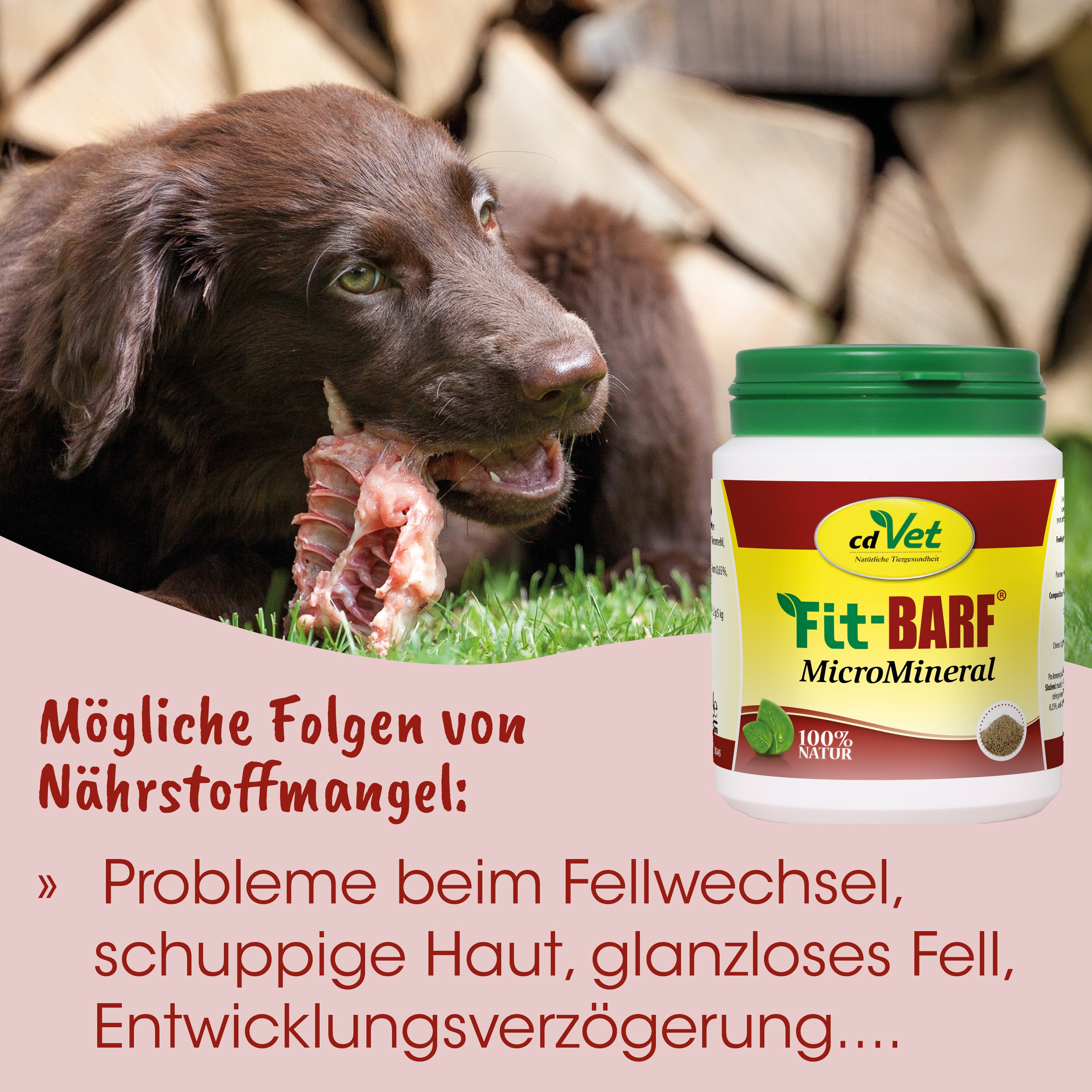 hund, knochen, knochenernährung, hunde ernährung, ergänzungsbehälter