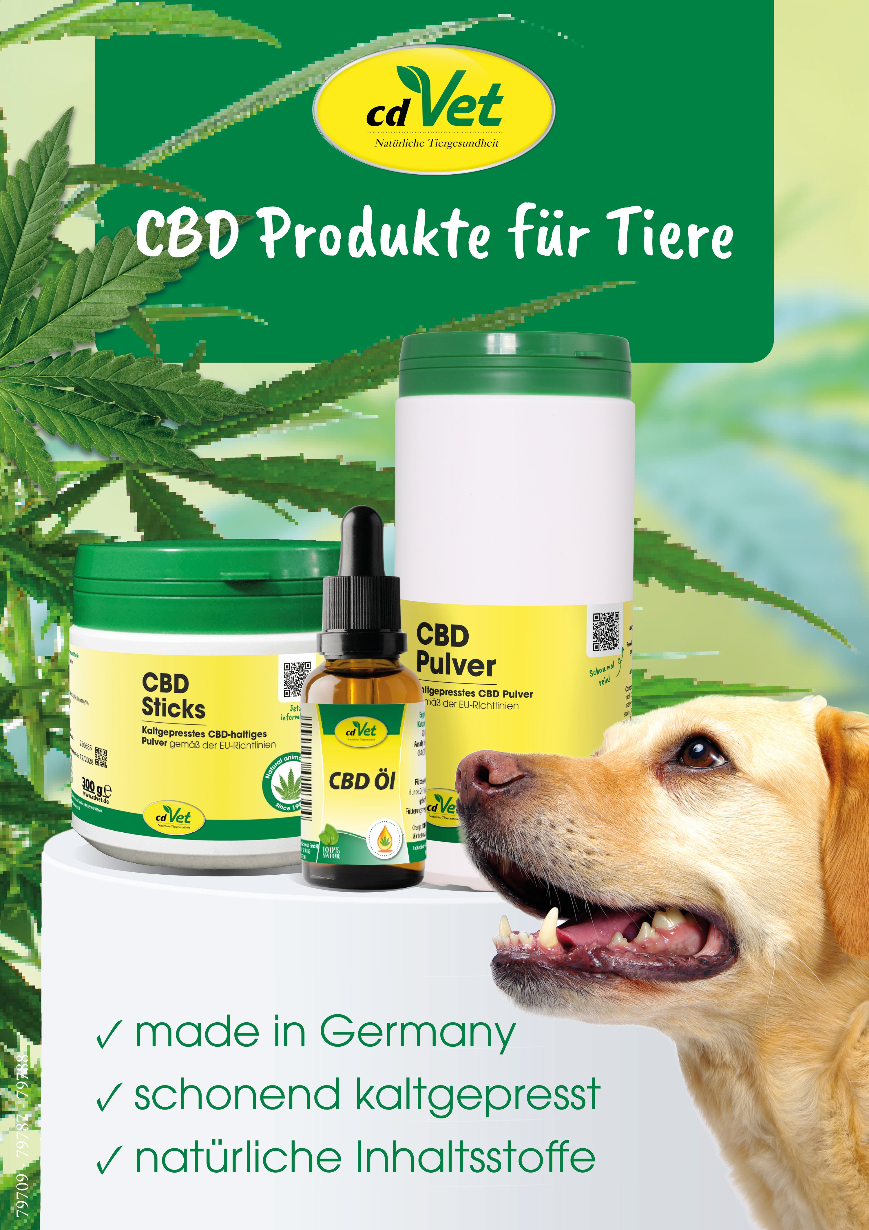 Plakat CBD Produkte A5